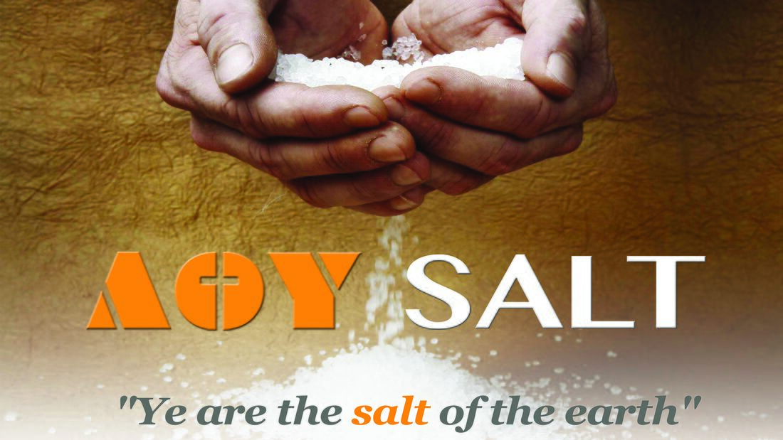 AOY SALT training in Malaysia